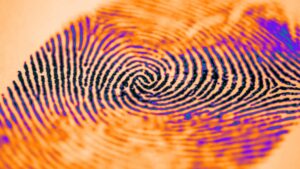 fingerprint